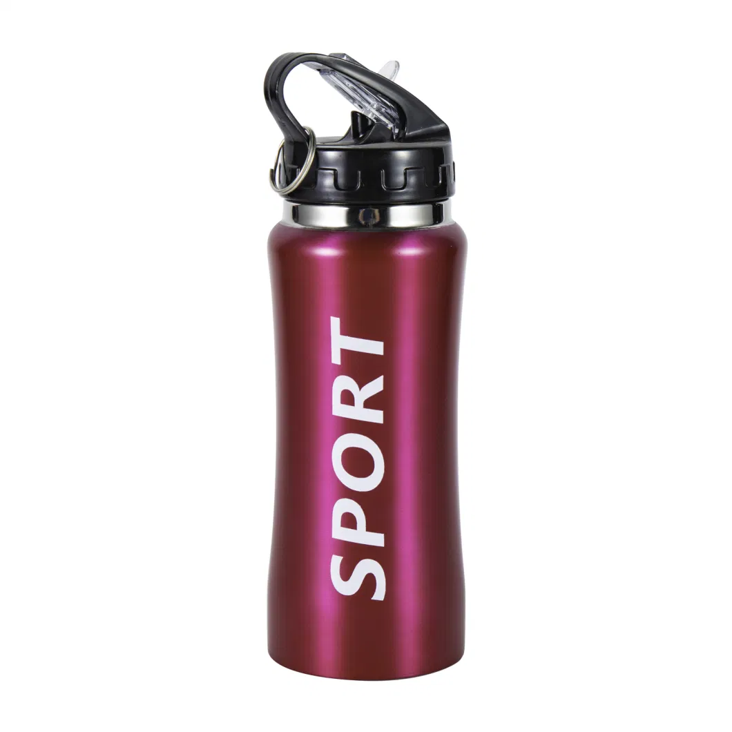 Custom Double Walled vacuum Insulated Metal Stainless Steel 18/8 Travel Sport Water Bottle